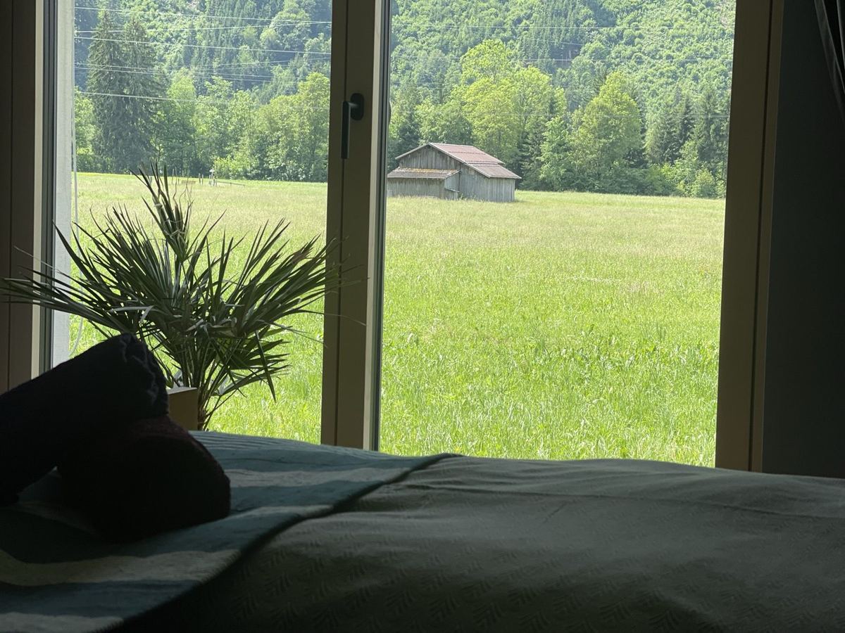 Blick aus dem Schlafzimmer der Ferienwohnung auf die Wiesen im Montafon
