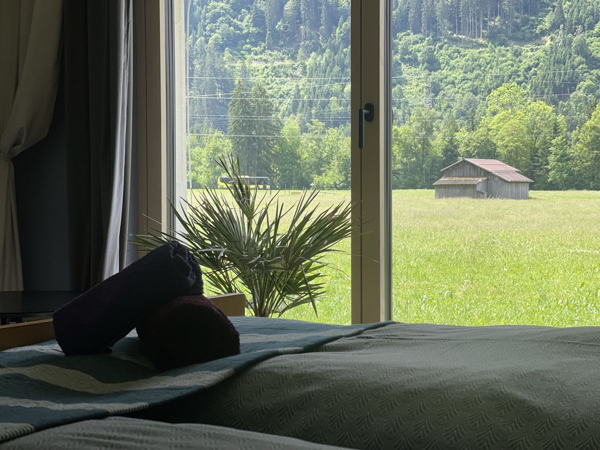 Blick vom Bett auf die Wiese hinter der Ferienwohnung in Schruns